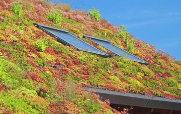 Chambercombe living roof systems